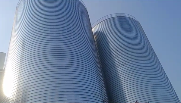 雨湖2座混凝土高架卷板仓